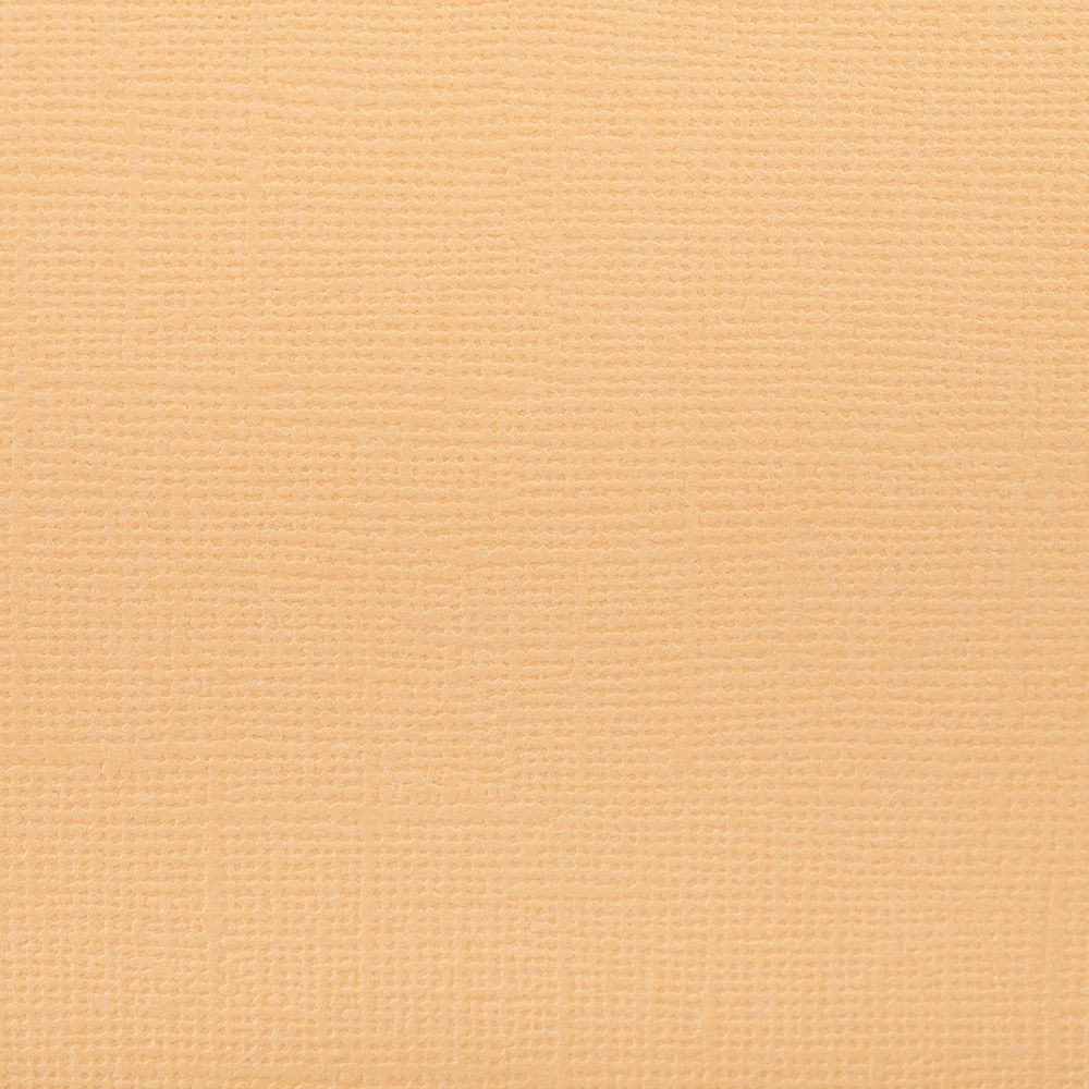 Бумага для скрапбукинга 216 г/м², 30.5х30.5 см, 10 шт, 55 Персиковое суфле (светло-оранжевый), Mr.Painter PST