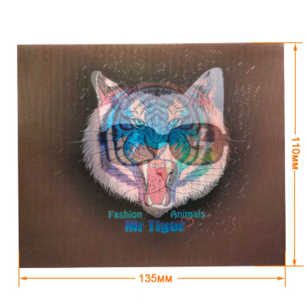 Термоаппликация голографическая 135х110 мм /TOS/