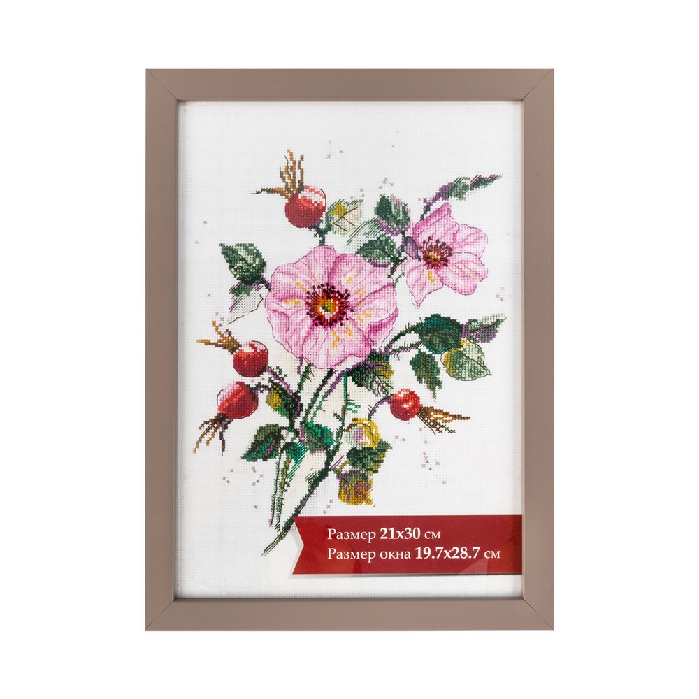 Рамка для картины (фото) пластик с оргстеклом 21х30 см, капучино, Gamma ПРК-20