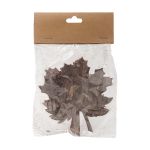 Декоративные элементы из коры дерева "Кленовый лист", 8,5х10см, 6 шт, нат/дерево