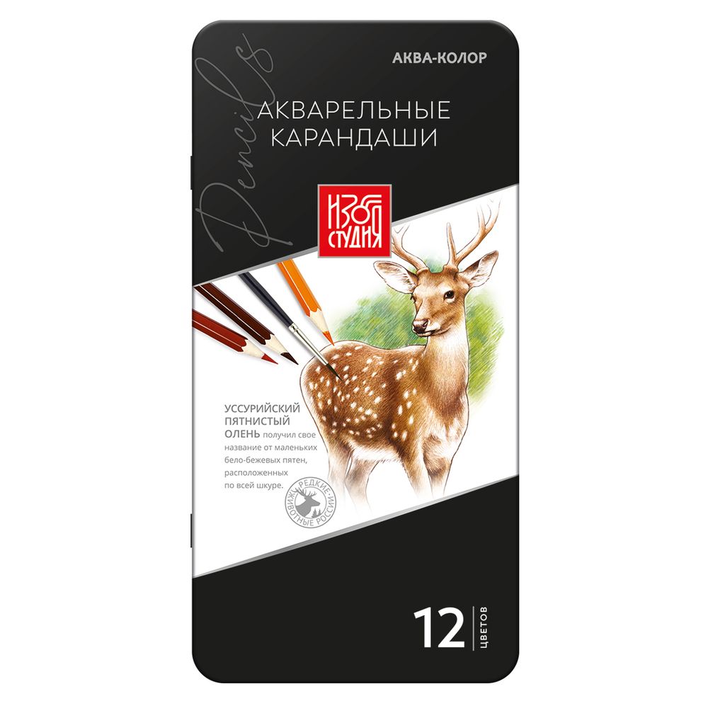Карандаш акварельный в наборе заточенный 2х12 цв, в металлической коробке, Аква-колор