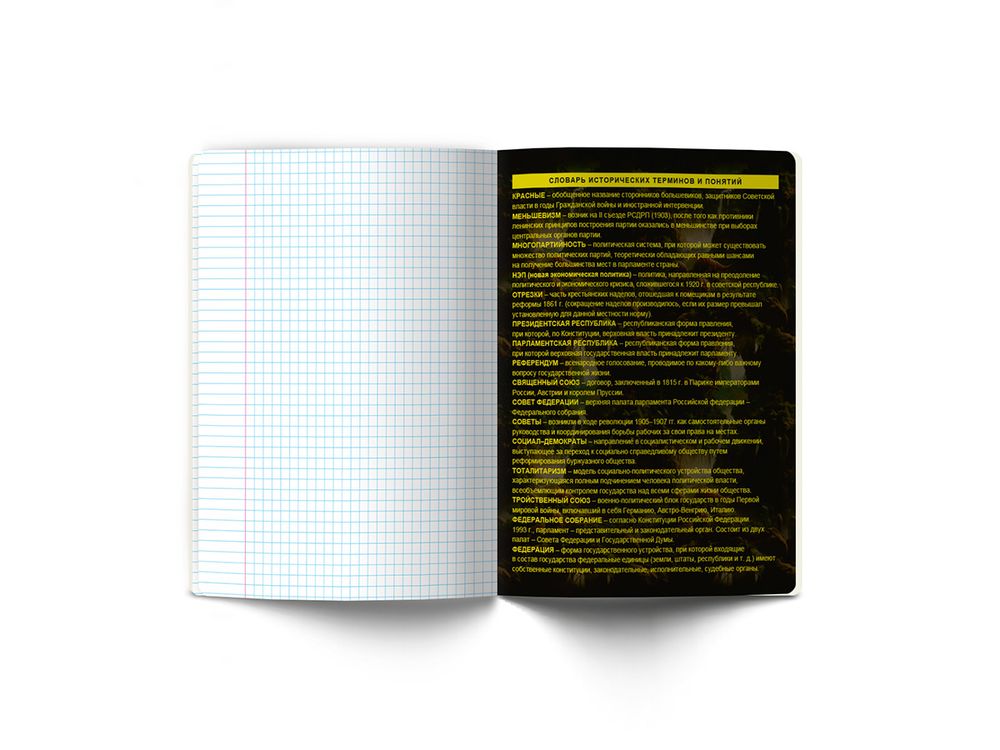 Тетрадь со справочным материалом Эволюция, глянцевая ламинация, A5+ 48 л. на скобе 65 г/м², белизна 100%, 10 шт, клетка, 00880 История, Светоч 48Т5