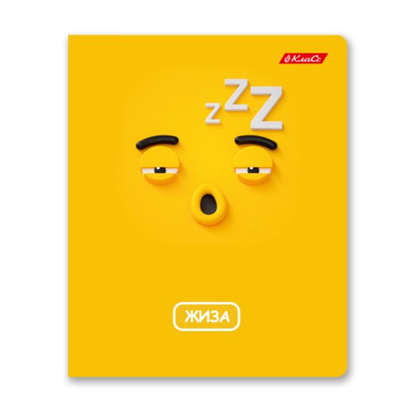 Тетрадь ученическая общая, A5+ 48 л. на скобе 65 г/м², белизна 100%, 10 шт, линия в термоусадочной пленке, 000756 Жиза, Светоч 48ТЕТл-001