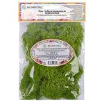 Мох стабилизированный окрашенный 50 г, 01 салатовый, Blumentag BMSR-50