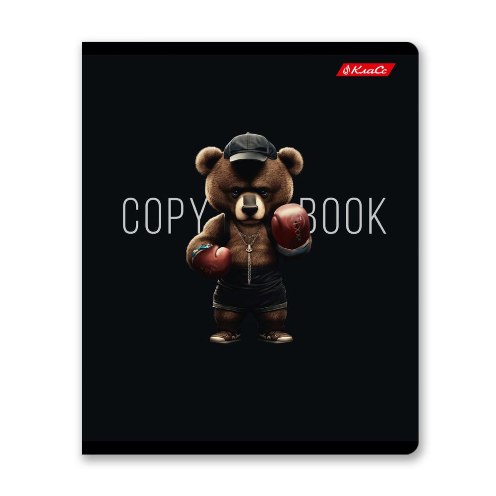 Тетрадь ученическая общая, софт-тач ламинация, A5+ 48 л. на скобе 65 г/м², белизна 100%, 10 шт, клетка в термоусадочной пленке, 000739 Мистер Х, Светоч 48ТЕТк-006