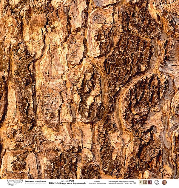 Бумага для скрапбукинга Вокруг меня. Коричневый 190 г/м², 30.5х30.5 см, 10 шт, 2, Mr.Painter PSR 210807