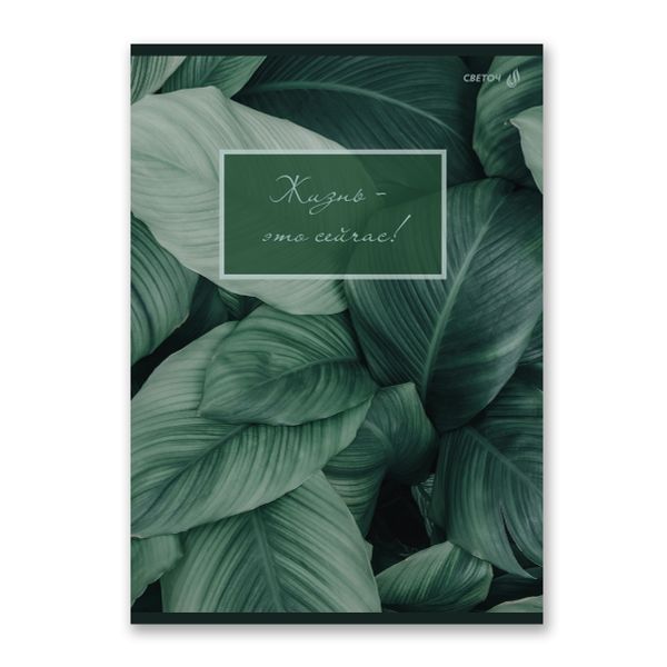 Тетрадь ученическая общая, A4 48 л. на скобе 65 г/м², белизна 100% 6 шт клетка, 01753 Малахитовая симфония, Светоч Т152