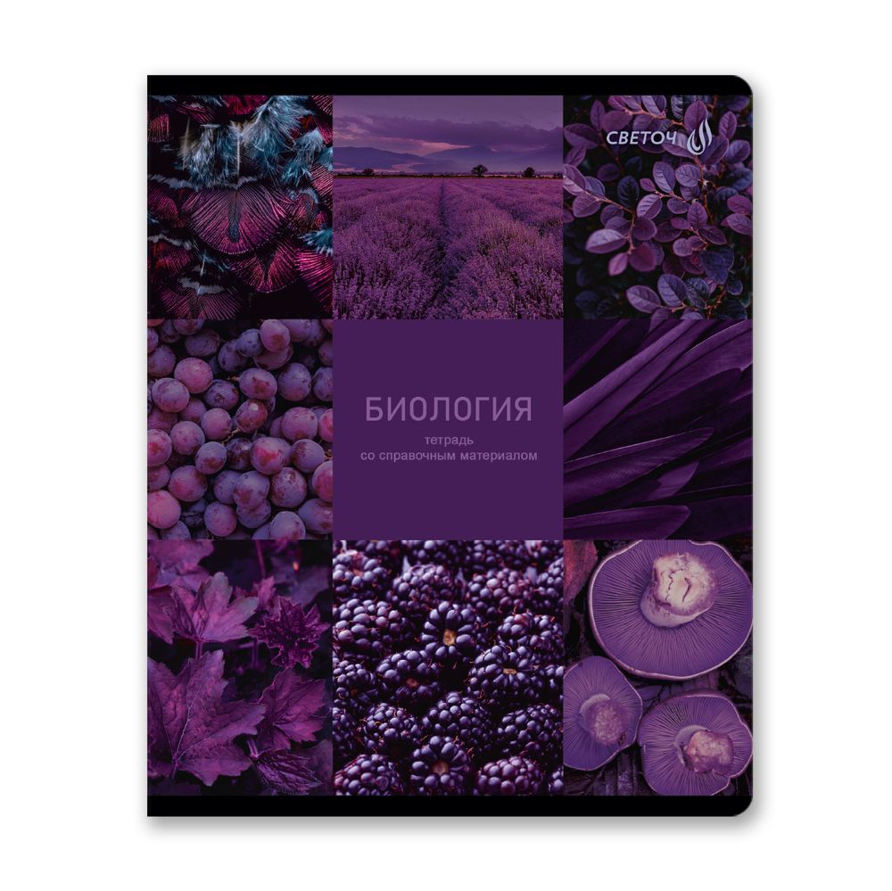 Комплект тетрадей со справочными материалами Огромный мир внутри, A5 48 л. 12 шт на скобе 60 г/м², белизна 90% 1 шт клетка/линия, 01883 12 предметов, Светоч Т294