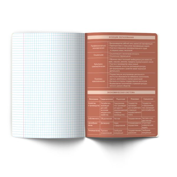 Тетрадь со справочным материалом Лёгким почерком, софт-тач ламинация, A5 48 л. на скобе 65 г/м², белизна 100% 10 шт, клетка, 01844 Лёгким почерком Обществознание, Светоч Т284