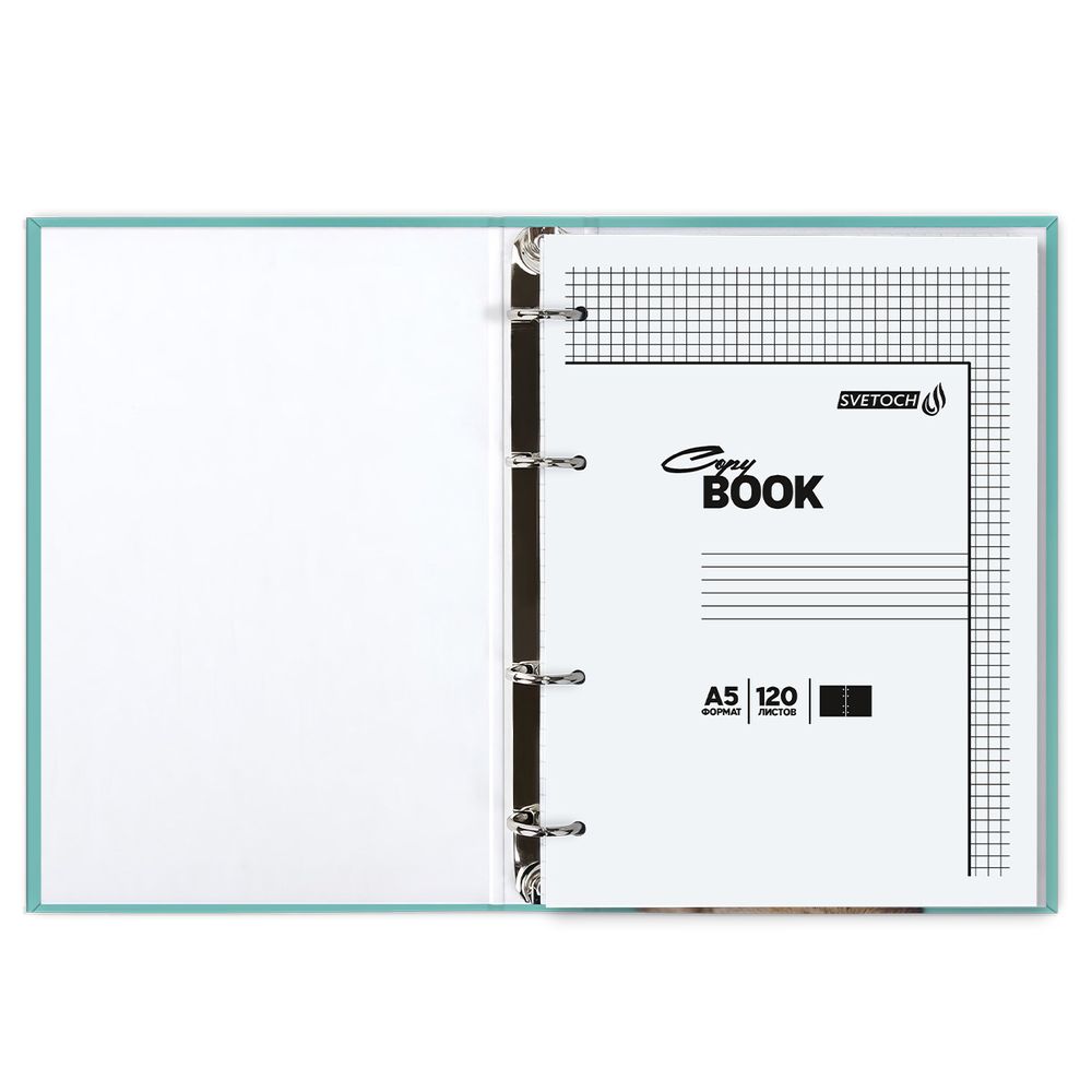Тетрадь общая со сменным блоком, матовая ламинация A5 120 л. на 4 кольцах 65 г/м², белизна 100% 12 шт, клетка, 000658 Кот и пёс, Светоч ТЕТ120-002