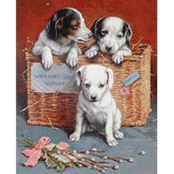 Алмазная (кристальная) мозаика Cristyle, С лучшими пожеланиями, 40х50 см