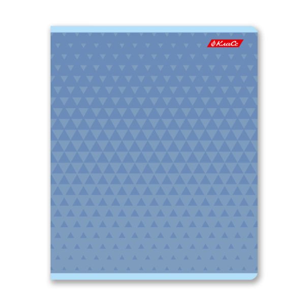 Тетрадь ученическая общая, выборочный лак, A5+ 96 л. на скобе 60 г/м², белизна 100%, 5 шт, клетка в термоусадочной пленке, 000783 В цвете, Светоч 96ТЕТк-003