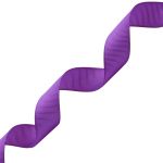 Лента репсовая (в рубчик) 20.0 мм, 171 т. фиолетовый, уп.18,28 м