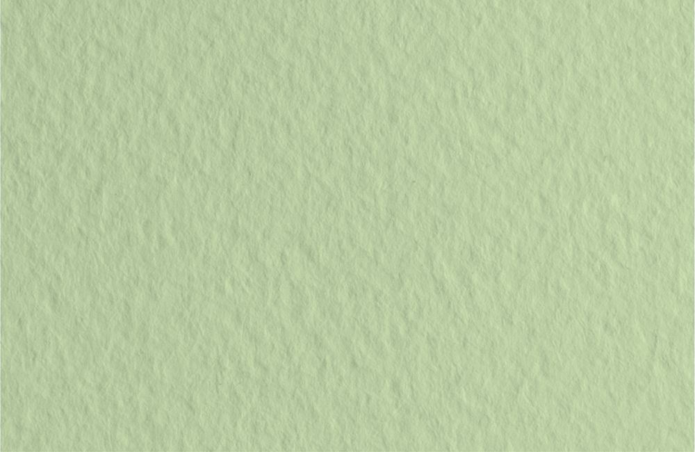 Бумага для пастели 160 г/м², 50х65 см, 10 листов, Verduzzo/св.зеленый, Fabriano