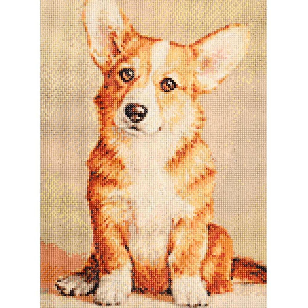 Алмазная (кристальная) мозаика Cristyle, Королевский корги, 30х40 см