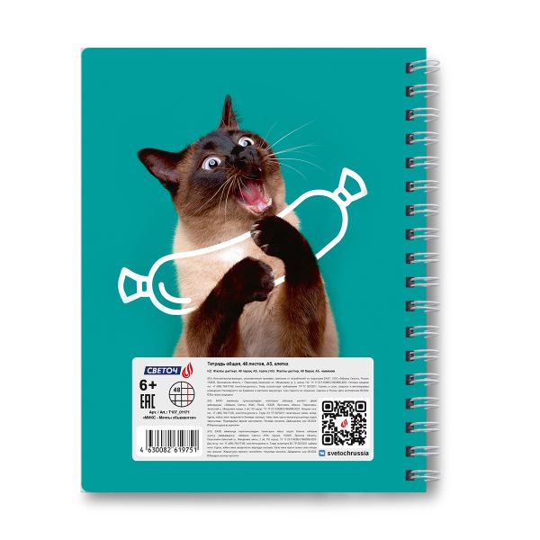 Тетрадь ученическая общая, A5 48 л. на гребне 65 г/м², белизна 100 %, 8 шт, клетка, 01171 МИКС - Мечты сбываются, Светоч Т107