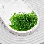 Бисер Astra&Craft 11/0 (2.1 мм), 200 г (10х20 г), цв. 25А травяной/прозрачный