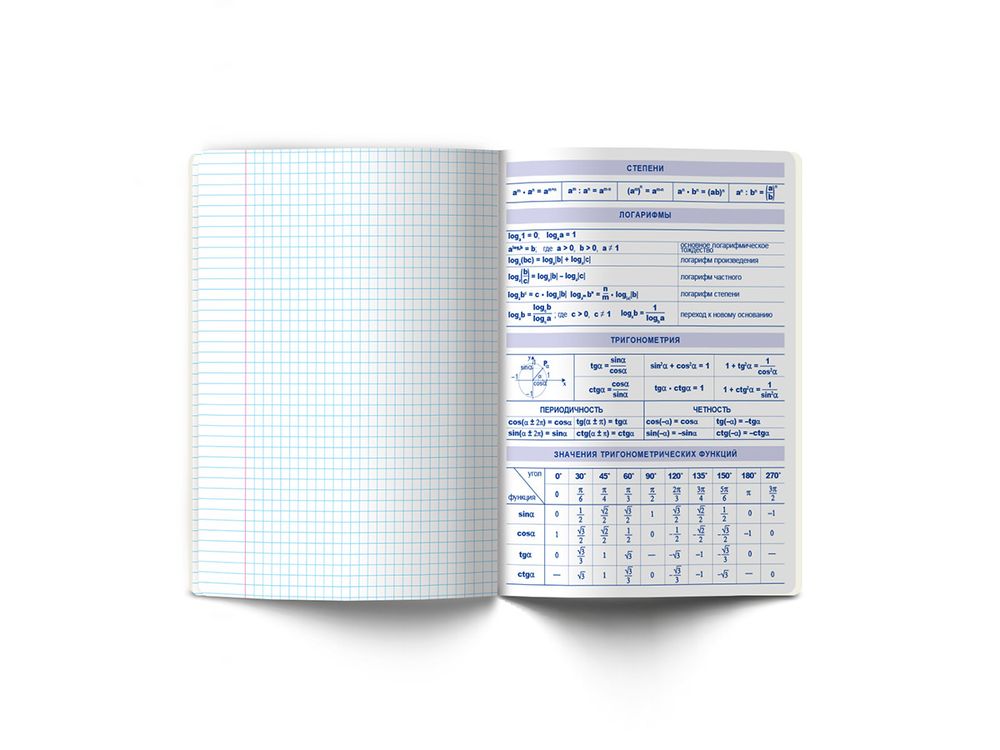 Тетрадь со справочным материалом АниМания, выборочный лак, A5+ 48 л. на скобе 65 г/м², белизна 100%, 10 шт, клетка, 000558 Алгебра, Светоч 48ТПСКа5_4_2_1