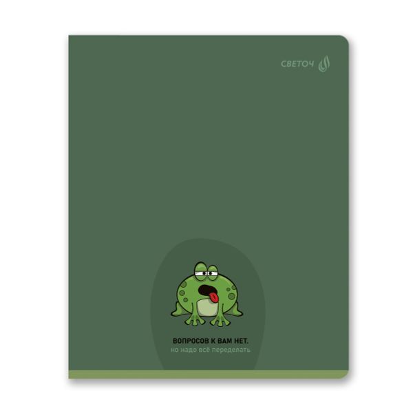 Тетрадь ученическая общая, твин лак, A5 96 л. на скобе 65 г/м², белизна 100% 5 шт линия, 01537 Вопросов нет, Светоч Т208