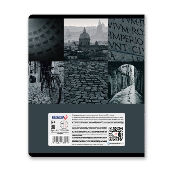 Тетрадь со справочным материалом Огромный мир внутри, A5 48 л. на скобе 60 г/м², белизна 90% 10 шт клетка, 01804 Огромный мир внутри История, Светоч Т278