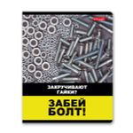 Тетрадь ученическая общая, твин лак, A5+ 60 л. на скобе 65 г/м², белизна 100%, 10 шт, клетка в термоусадочной пленке, 000480 Жесть, Светоч 60ТСК5_8_2_1