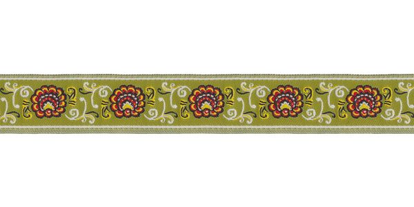 Лента (тесьма) жаккардовая 22.0 мм / 10±0.5 метров, зеленый, Gamma DBTRJ-84
