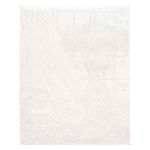 Картина по номерам Русская живопись, Солнечная мелодия 40х50см