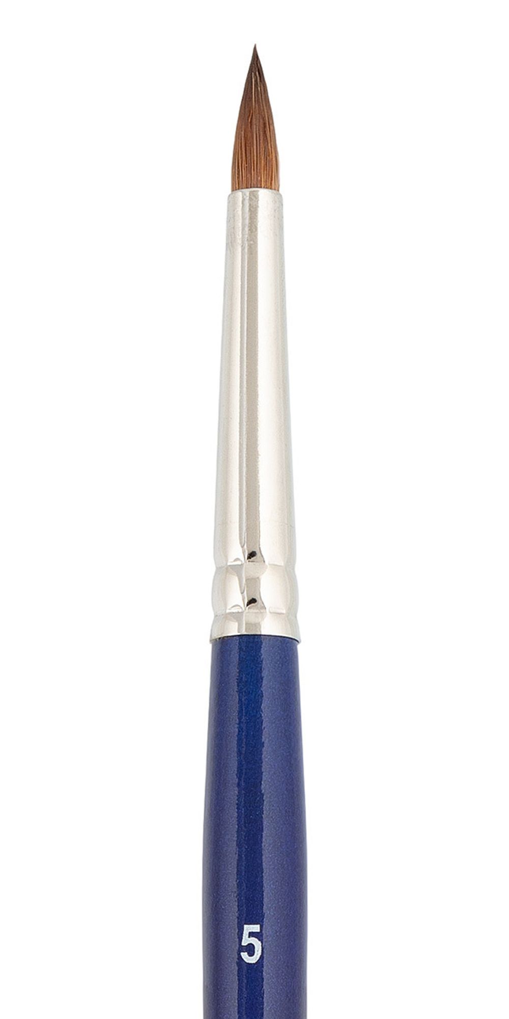 Кисть колонок укороченная выставка круглая №05, 5 шт, короткая ручка, Vista-Artista 20218-05