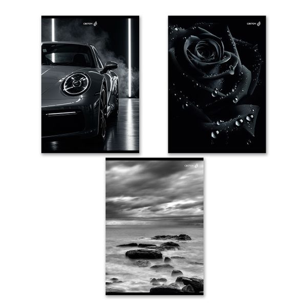 Тетрадь ученическая общая, A4 48 л. на скобе 65 г/м², белизна 100% 6 шт клетка, 01756 Магия чёрного, Светоч Т152