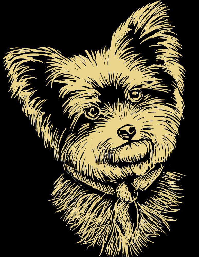 Набор для творчества Гравюра 20х25.5 см, №33 Йоркширский терьер (золото), Hobbius SGHK Набор для творчества Гравюра 20х25.5 см, №33 Йоркширский терьер (золото), Hobbius SGHK