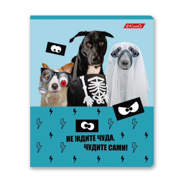 Тетрадь ученическая общая, A5+ 48 л. на скобе 65 г/м², белизна 100%, 10 шт, клетка в термоусадочной пленке, 000727 Чудите с нами!, Светоч 48ТЕТк-001