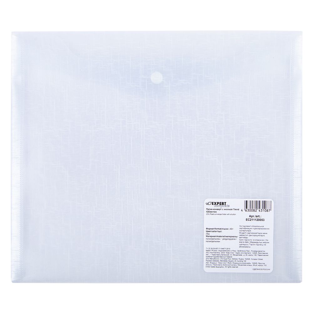 Папка-конверт для тетрадей с кнопкой A5+ 180 мкм, 20 шт, лёд ЕС211120053, Expert Complete