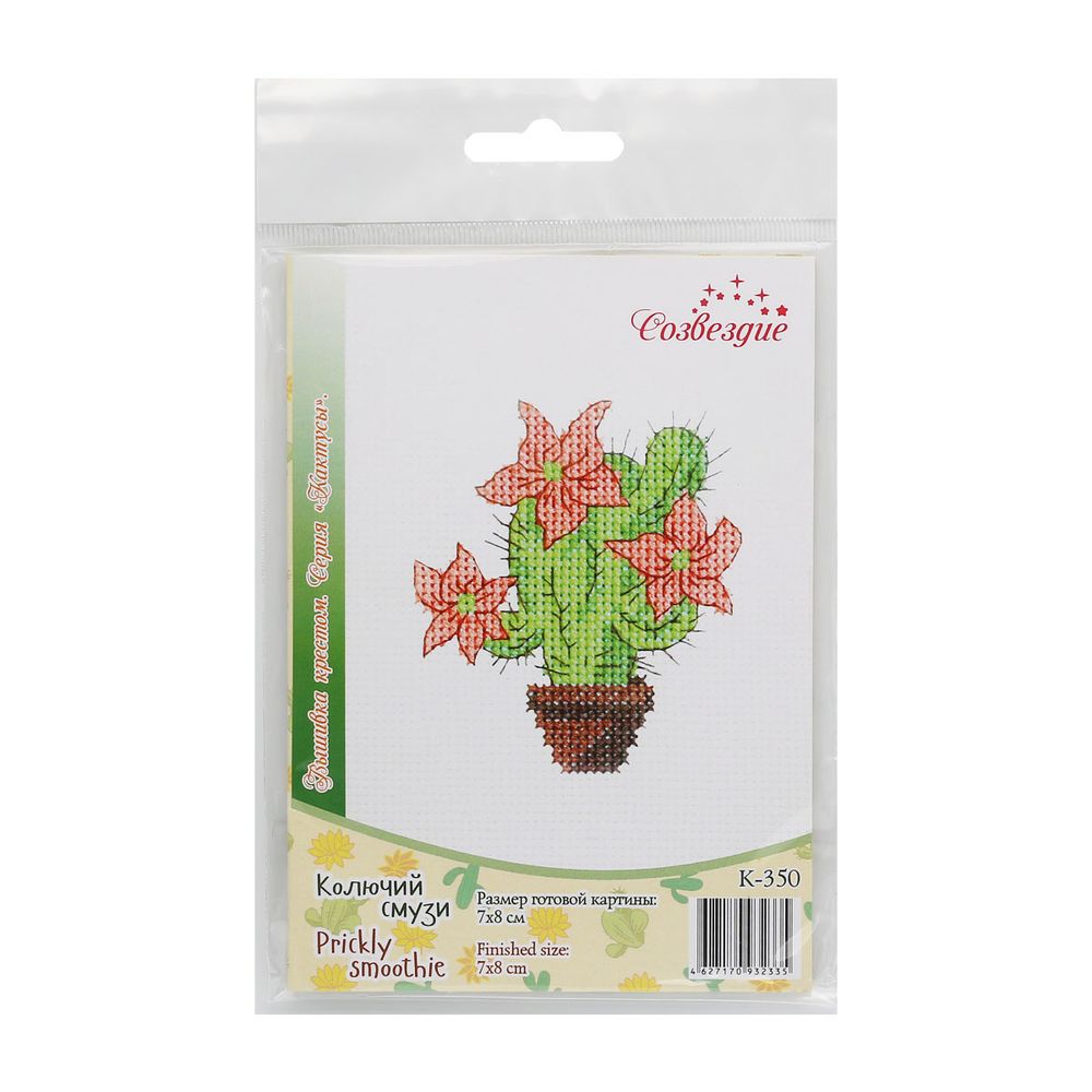 Набор для вышивания нитками Созвездие, Колючий смузи 7х8см