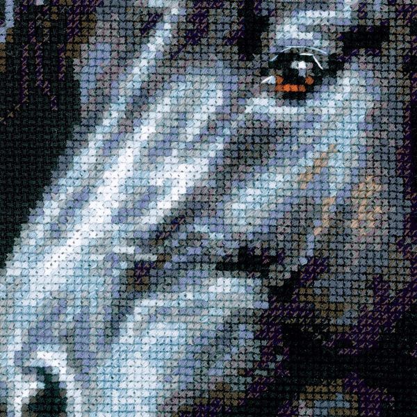 Набор для вышивания нитками Риолис, Ветер в гриве 30х45 см