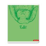 Тетрадь ученическая общая, матовая ламинация + выборочный УФ лак, A5+ 48 л. на скобе, белизна 100%, 10 шт, клетка, 000315 Зайчишка, Светоч 48ТСК5_24_3_1