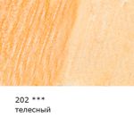 Карандаш акварельный художественный заточенный, 6 шт, 202 Телесный (Flesh), Vista-Artista Gallery VGWP