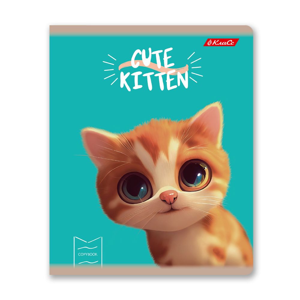 Тетрадь ученическая общая, глянцевая ламинация, A5+ 48 л. на скобе 65 г/м², белизна 100%, 10 шт, клетка в термоусадочной пленке, 000735 Мордашки, Светоч 48ТЕТк-004