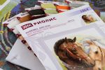 Набор для вышивания нитками Риолис, Пара лошадей 40х40 см