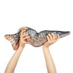 Набор для шитья игрушки Рыба-щука 62х16.1 см, Miadolla IAS-013