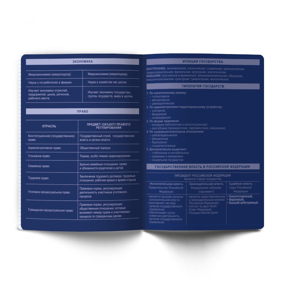 Тетрадь со справочным материалом Золотые главы, тисн.золот.фольгой, A5 48 л. на скобе 65 г/м², белизна 100% 10 шт клетка, 01856 Золотые главы Обществознание, Светоч Т286