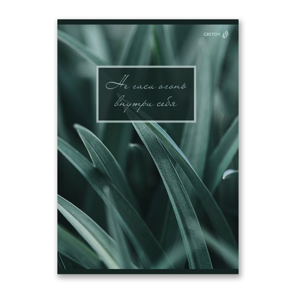 Тетрадь ученическая общая, A4 48 л. на скобе 65 г/м², белизна 100% 6 шт клетка, 01753 Малахитовая симфония, Светоч Т152