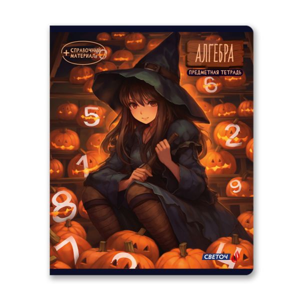Тетрадь со справочным материалом Ковен тайных знаний, A5+ 48 л. на скобе 65 г/м², белизна 100%, 10 шт, клетка, 00851 Алгебра, Светоч 48Т7