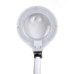 Лупа с подсветкой настольная ⌀10 см (ув.х1.75) + ⌀2.5 см (ув.х4), Ferstel FR-25