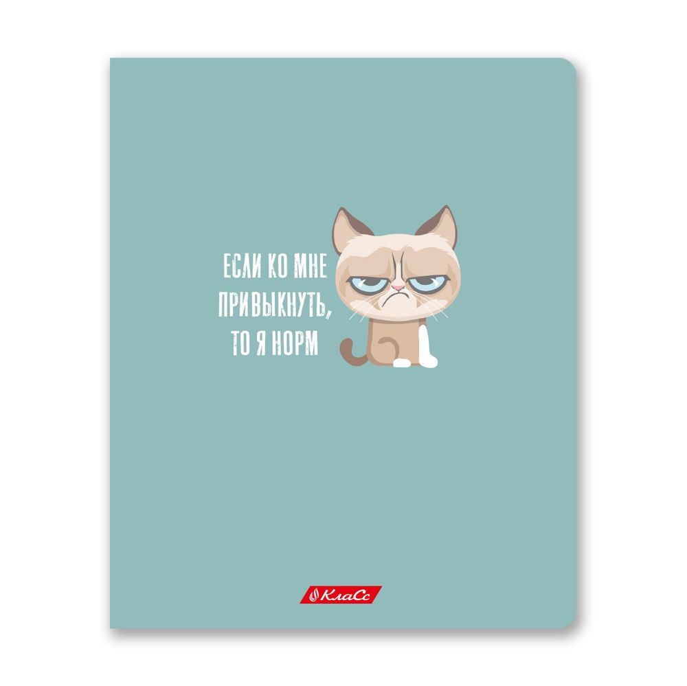 Тетрадь ученическая общая, софт тач, A5+ 96 л. на скобе, белизна 100%, 5 шт, клетка, 000350 Кот-пофигист, Светоч 96ТСК5_12_3_1