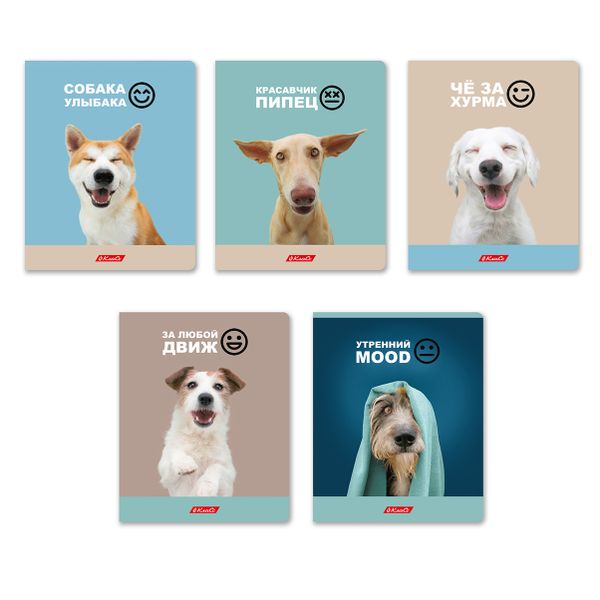 Тетрадь ученическая общая, A5+ 48 л. на скобе, белизна 100%, 10 шт, клетка, 000334 Ужасно милые, Светоч 48ТСК5_3_1