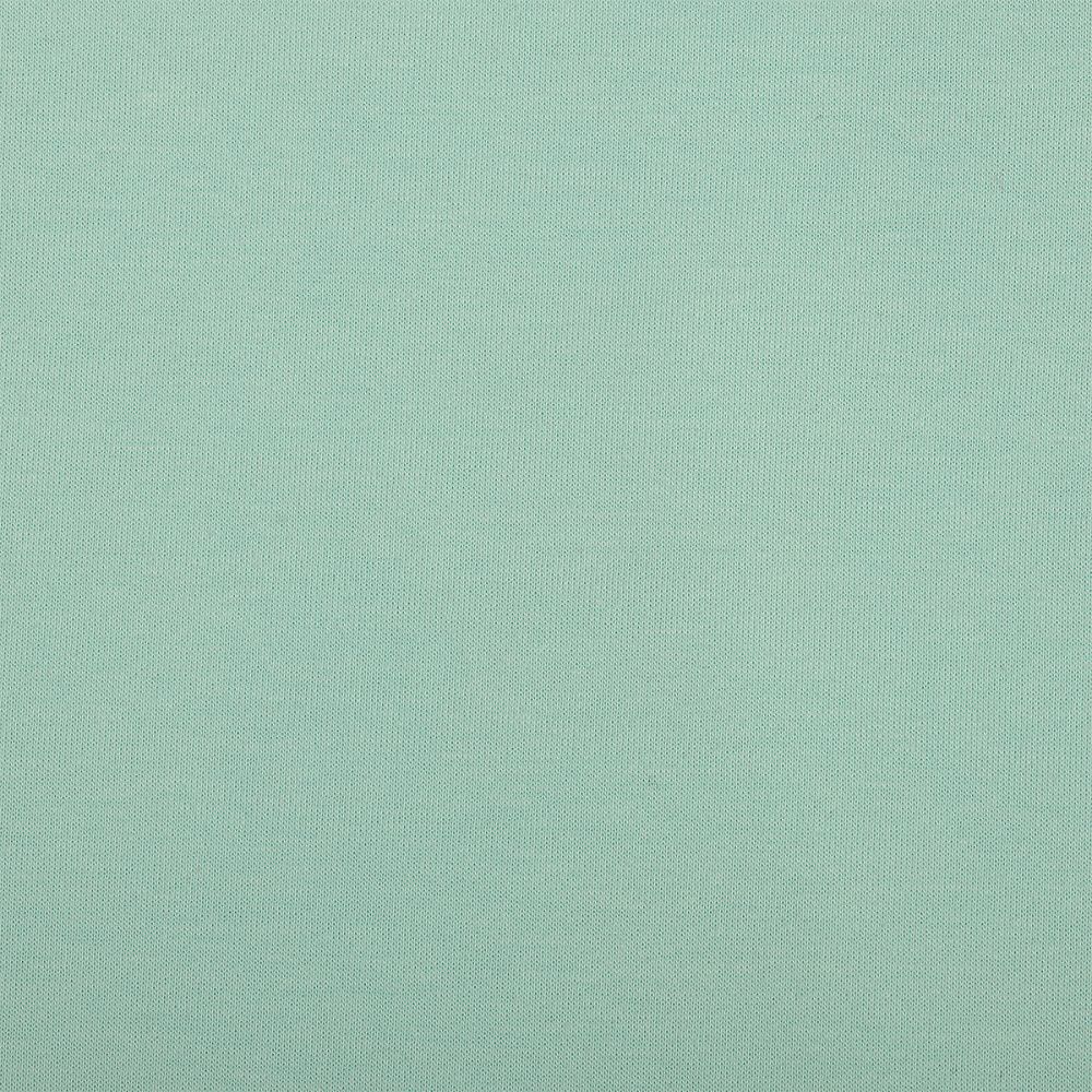 Футер 2-нитка петля поликоттон стрейч 220 г/м², 160 см / 3 метра, ФУТ2Х.TBY.ХЛ-ПЭ.S822.3, цв.S822 мятный