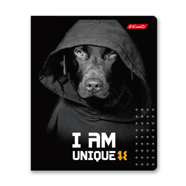 Тетрадь ученическая общая, A5+ 48 л. на скобе 65 г/м², белизна 100%, 10 шт, клетка в термоусадочной пленке, 000726 Я уникальный!, Светоч 48ТЕТк-001