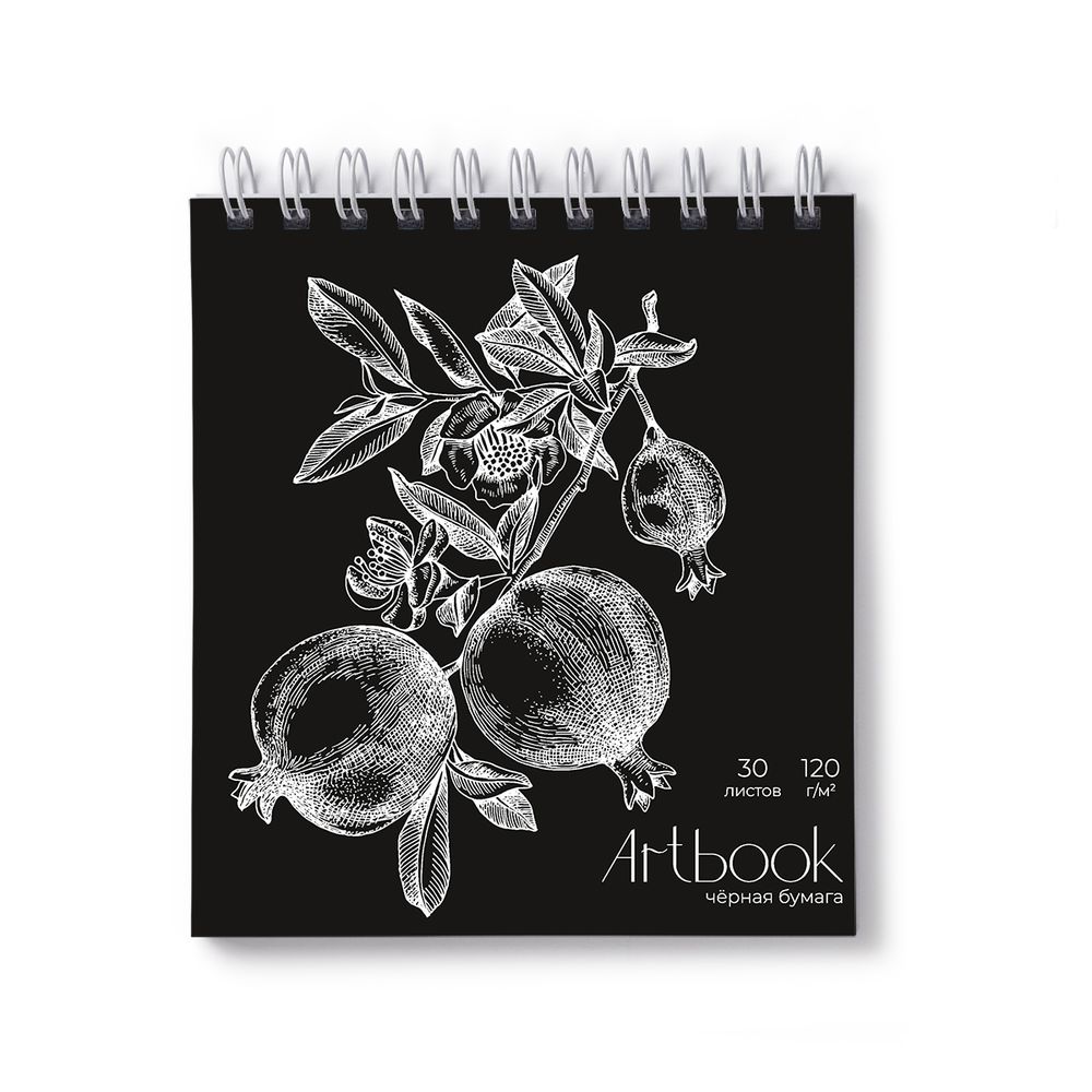 Артбук (Скетчбук), блок черный, жесткая подложка, 120 г/м², 166х175 мм, на гребне 30 л. 2 шт, Гранаты 01936, Светоч А306
