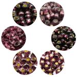 Набор бисера Preciosa 11, размеры 7-10/0 (2.3 мм),6 цветов, 6, ±0,5 гр