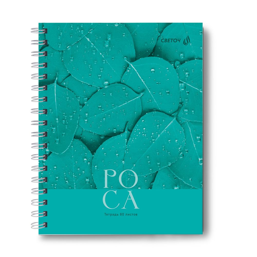 Тетрадь общая с твердой обложкой, матовая ламинация A5 80 л. на гребне 65 г/м², белизна 100% 4 шт клетка, 01559 Холодная роса, Светоч Т214